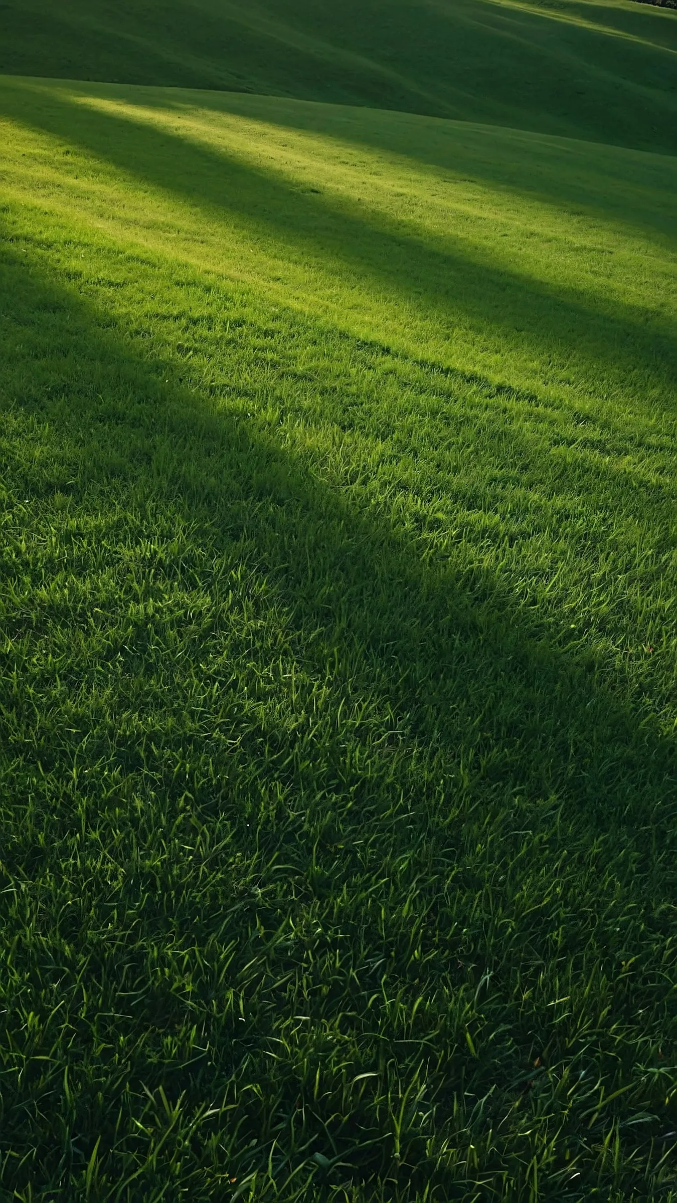 Grano project landscape inspiration